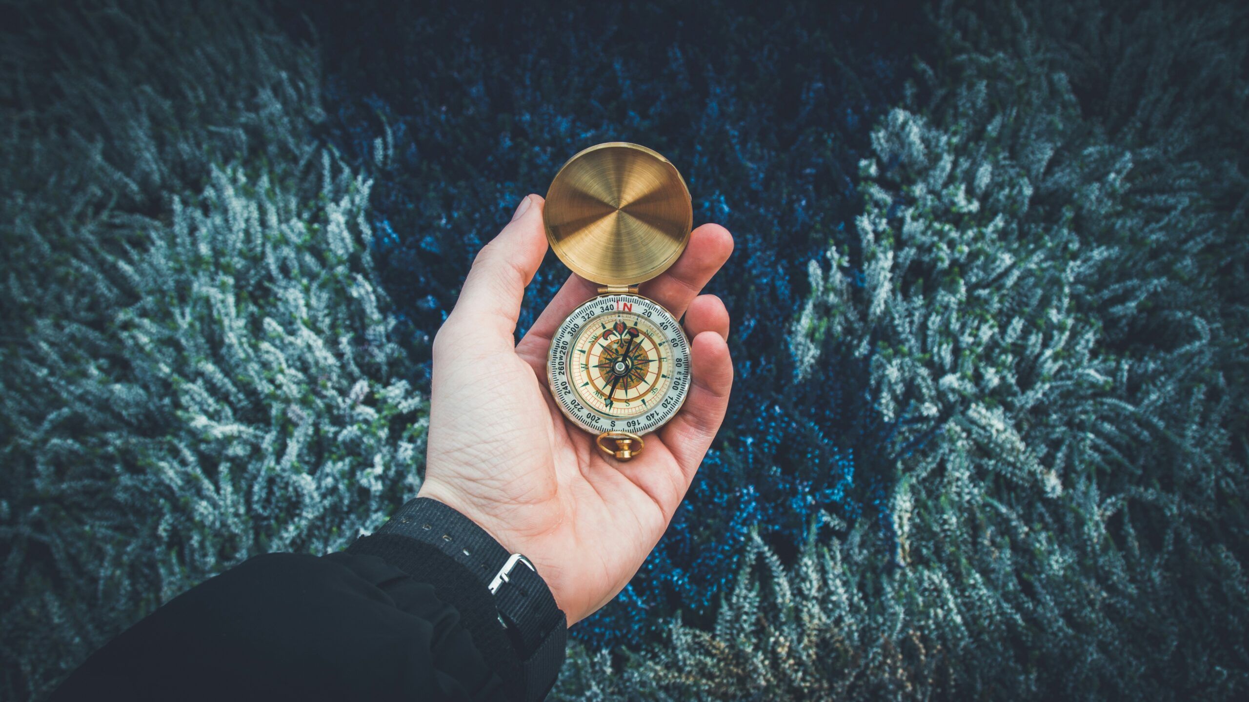 Un mentor qui guide avec une boussole pour trouver la bonne direction et avancer dans la vie
